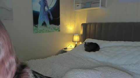 Sofia online show from February 26, 2:46 pm