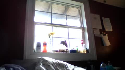 Snapshot of lunasecretadmirer chatting on February 14, 7:21 pm lunasecretadmirer online show from February 14, 7:21 pm