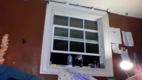 Snapshot of lunasecretadmirer chatting on March 1, 5:31 am lunasecretadmirer online show from March 1, 5:31 am