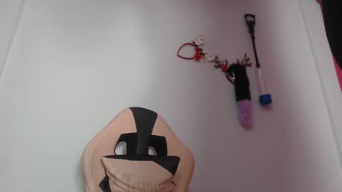 Luna Tamara online show from December 15, 6:40 am