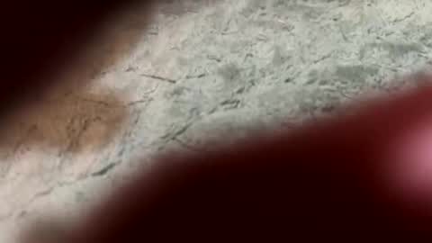 lust_4_daze online show from February 13, 7:21 pm