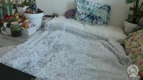 Snapshot of lustlnbalancevh chatting on January 19, 7:56 am lustlnbalancevh online show from January 19, 7:56 am