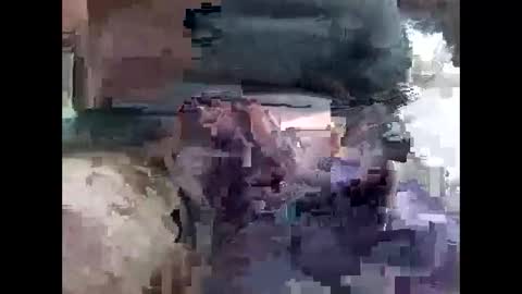 lutorres online show from November 16, 10:32 am