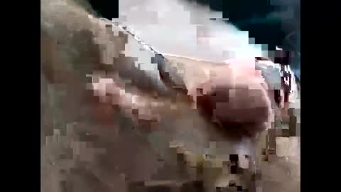 lutorres online show from November 22, 3:33 pm