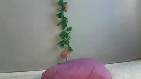 Bee Bee online show from October 22, 2:34 am