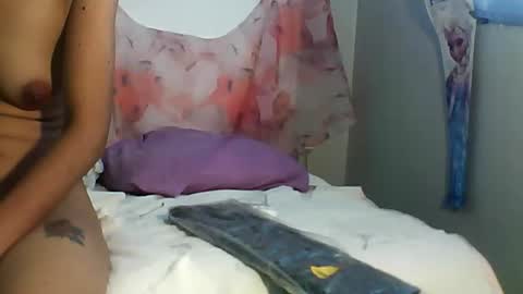 Bee Bee online show from November 23, 2:33 am