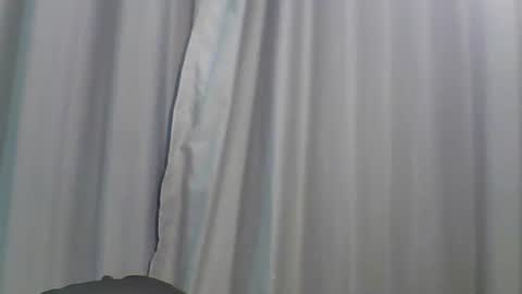 Bee Bee online show from January 13, 1:55 am