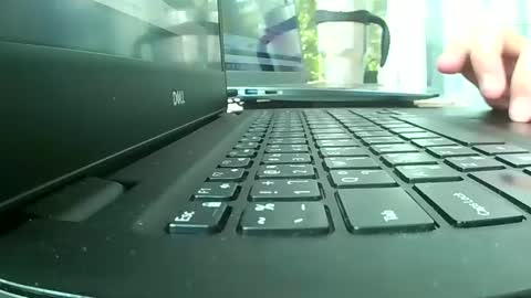 Bee Bee online show from March 26, 6:41 am