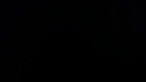 Lesly And Arnold online show from November 4, 4:00 am