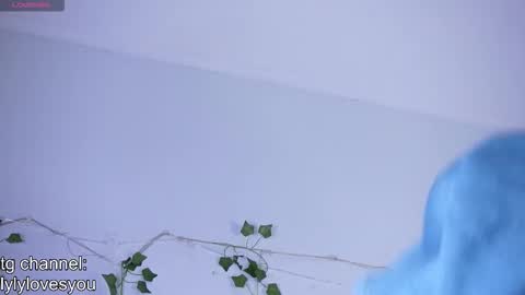 Lyly   online show from November 17, 5:35 am