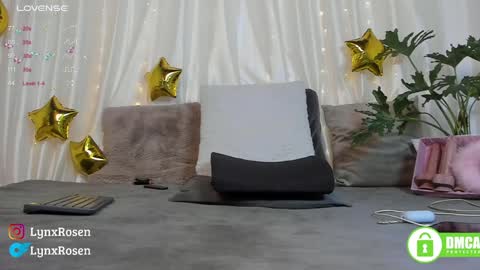 Snapshot of lynxrosen chatting on January 17, 9:06 pm Lynx Rosen online show from January 17, 9:06 pm