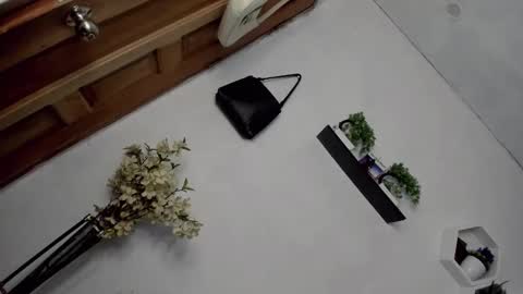 Janelovesu online show from December 16, 7:24 am