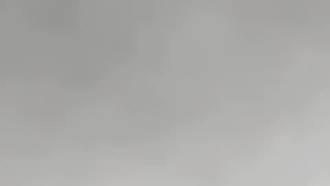 m7491201 online show from January 28, 12:43 pm