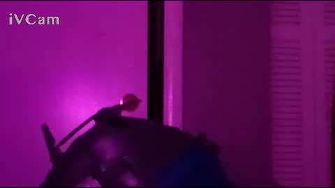 m7491201 online show from October 1, 9:48 am