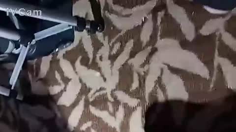 m7491201 online show from October 23, 2:38 pm