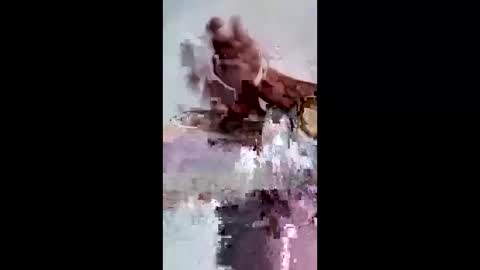 Snapshot of maciasbraulio846 chatting on February 7, 6:50 am maciasbraulio846 online show from February 7, 6:50 am