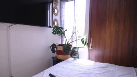 maggie online show from November 19, 4:07 pm