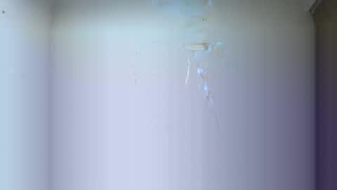 BRAYAN online show from March 16, 2:39 am