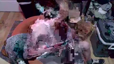 Snapshot of magnetic77slav chatting on January 9, 10:55 pm magnetic77slav online show from January 9, 10:55 pm