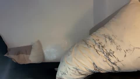 Snapshot of majestic_princesslei chatting on October 13, 12:54 am Lei online show from October 13, 12:54 am