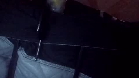 Snapshot of makeunumb88 chatting on March 20, 6:51 am makeunumb88 online show from March 20, 6:51 am