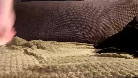 mako998843 online show from January 6, 10:01 pm