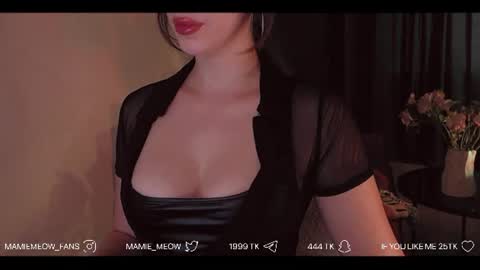 Snapshot of mamiemeow chatting on July 1, 11:56 am Your Miss Alice online show from July 1, 11:56 am