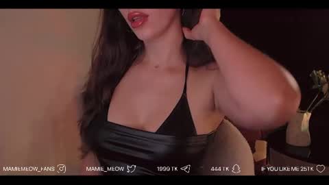 Snapshot of mamiemeow chatting on July 18, 2:21 pm Your Miss Alice online show from July 18, 2:21 pm