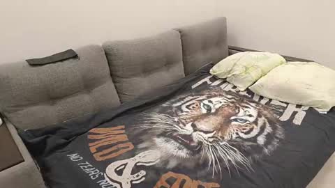 Caroline online show from January 12, 6:49 pm