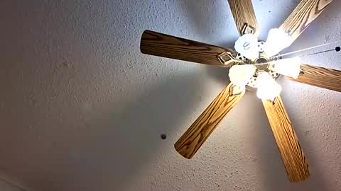 Jan and Man online show from February 1, 5:17 am