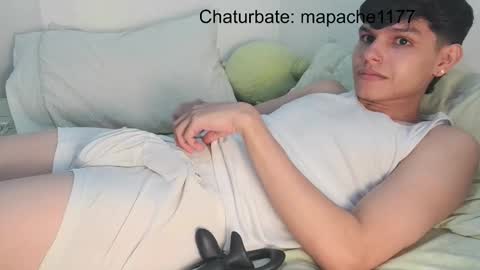 Snapshot of mapache1177 chatting on February 26, 11:09 am mapache1177 online show from February 26, 11:09 am