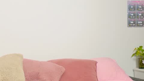     online show from February 7, 2:19 am