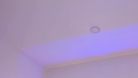 Mara online show from February 1, 3:41 am