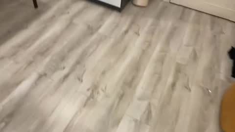 alex marvelxx online show from February 5, 6:12 pm