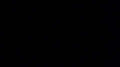 Elle online show from January 14, 12:55 pm