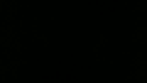 Elle online show from February 25, 4:49 pm