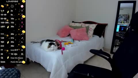   Mariam Castiblanco online show from January 14, 3:01 am