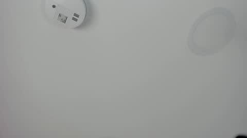 Maria Pettit online show from March 8, 12:53 pm