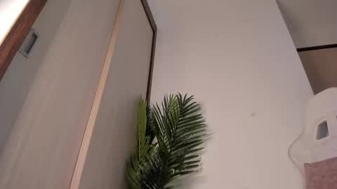 Snapshot of markus_blass chatting on December 13, 12:42 am markus... Y online show from December 13, 12:42 am