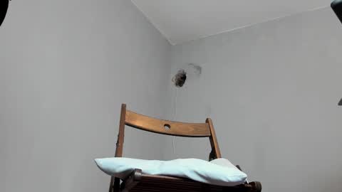 MARK online show from October 16, 12:06 pm