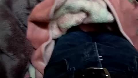 Snapshot of marocreda33 chatting on March 11, 5:57 pm marocreda33 online show from March 11, 5:57 pm