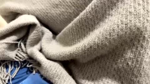 marriedthickdick37 online show from January 12, 10:12 pm