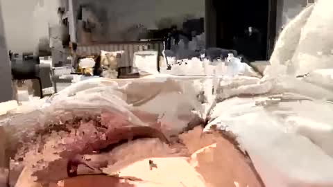 marriedthickdick37 online show from February 12, 5:37 am