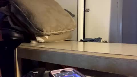 martasub online show from December 15, 4:11 pm