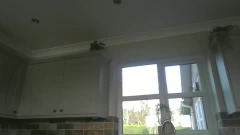 Snapshot of martinrgbxxxx chatting on February 23, 9:28 am martinrgbxxxx online show from February 23, 9:28 am