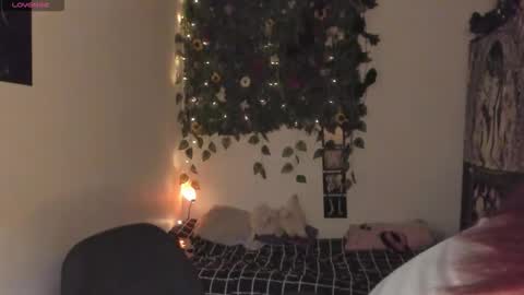 maria online show from December 15, 7:51 pm