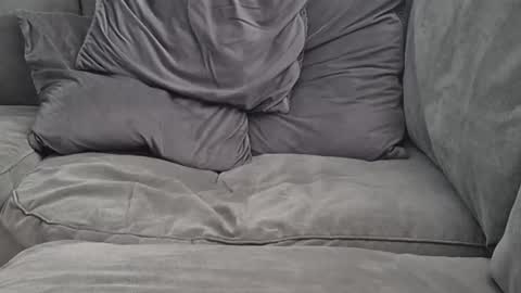 Lee online show from September 24, 11:02 am