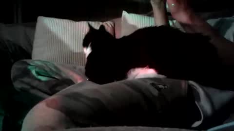 Snapshot of mastrdebator chatting on November 5, 9:59 pm mastrdebator online show from November 5, 9:59 pm