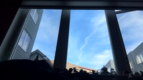 Snapshot of masturbatingmariamiller chatting on February 4, 8:47 pm masturbatingmariamiller online show from February 4, 8:47 pm