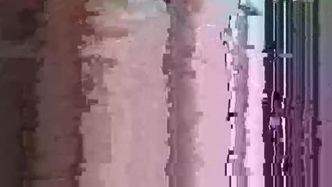 maththebear96 online show from April 13, 3:01 am